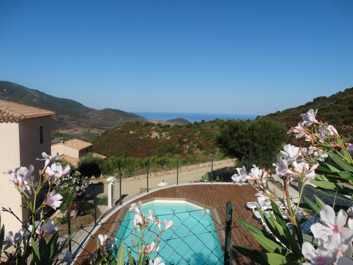 Gites Sassone, Vue Panoramique Sur Ajaccio Et La Mer Alata Exteriér fotografie